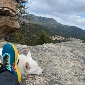 Meet your Posher, Derek